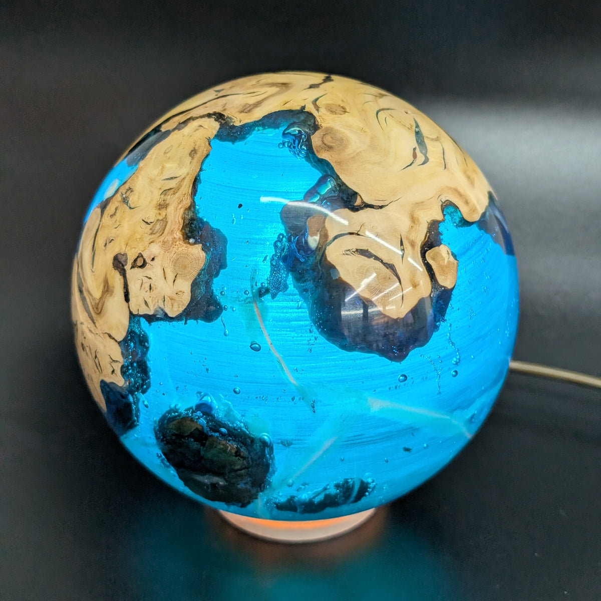The World Within – Cherry Plum Root & Resin Lamp